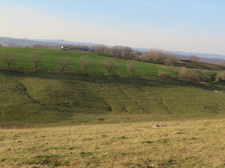 This pasture still shows the effects of erosion that occurred when the field was cropped nearly 100 years ago.