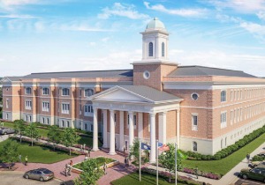 image button referendum-1