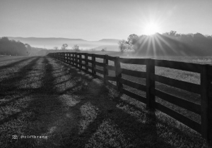 Five-Year financial plan-image button